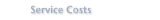 Service Costs