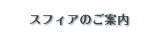 �X�t�B�A�̂��ē�