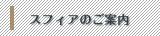 �X�t�B�A�̂��ē�